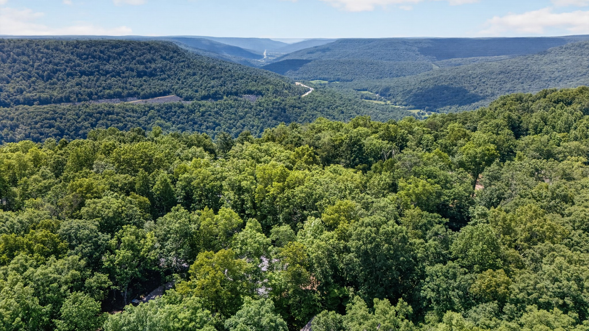 1835 Ridge Cliff Drive Monteagle, TN 37356 - Photo 48 of 49