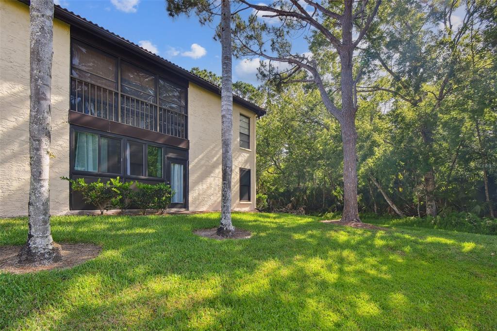 1801 East Lake Road South, Unit 3A Palm Harbor, FL 34685 - Photo 32 of 56 a view of a back yard of the house