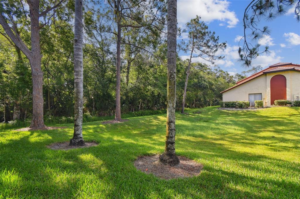 1801 East Lake Road South, Unit 3A Palm Harbor, FL 34685 - Photo 34 of 56 a backyard of a house with lots of green space