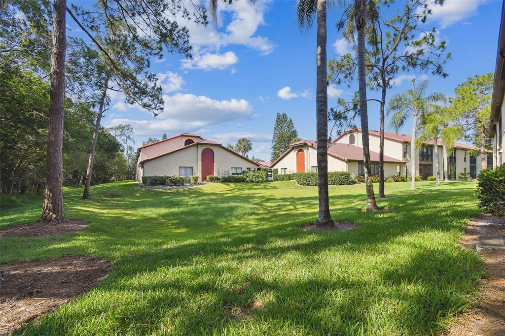 1801 East Lake Road South, Unit 3A Palm Harbor, FL 34685 - Photo 36 of 56 a house view with garden space