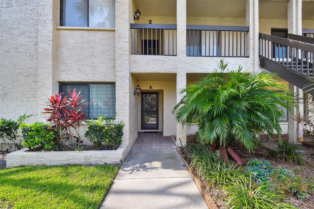 1801 East Lake Road South, Unit 3A Palm Harbor, FL 34685 - Photo 41 of 56 a front view of a house with garden