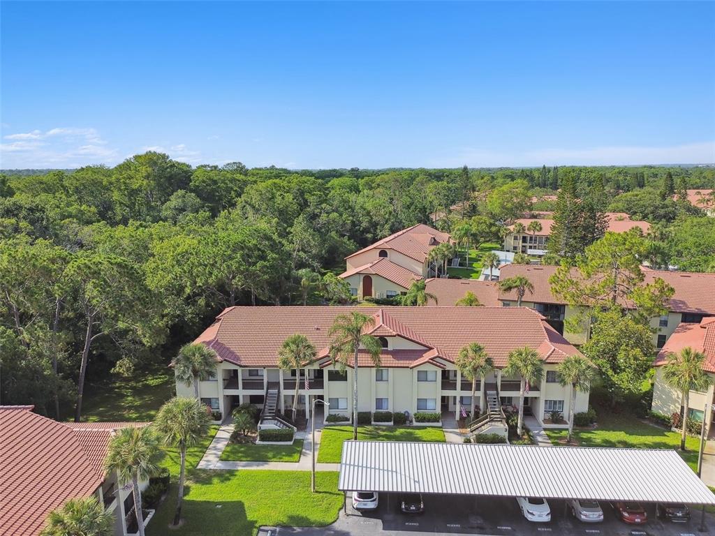 1801 East Lake Road South, Unit 3A Palm Harbor, FL 34685 - Photo 45 of 56 an aerial view of a house with a garden and lake view