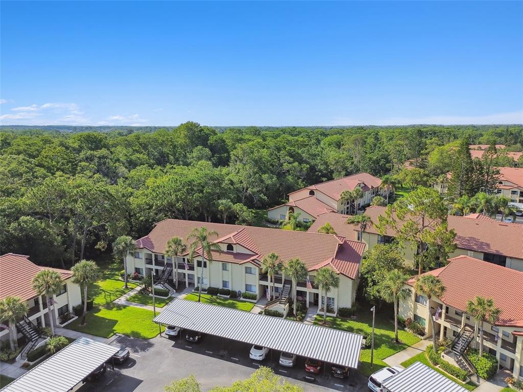 1801 East Lake Road South, Unit 3A Palm Harbor, FL 34685 - Photo 46 of 56 an aerial view of a houses with a garden and outdoor space