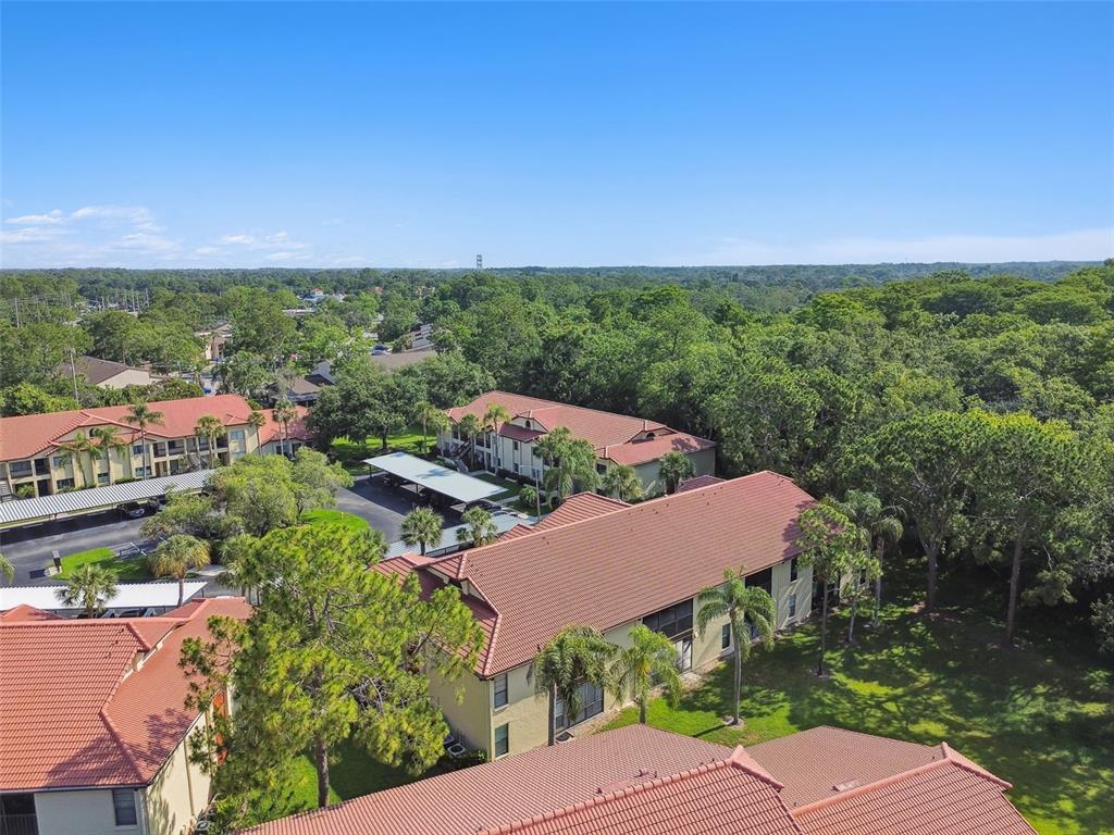 1801 East Lake Road South, Unit 3A Palm Harbor, FL 34685 - Photo 47 of 56 a view of a garden with an outdoor space