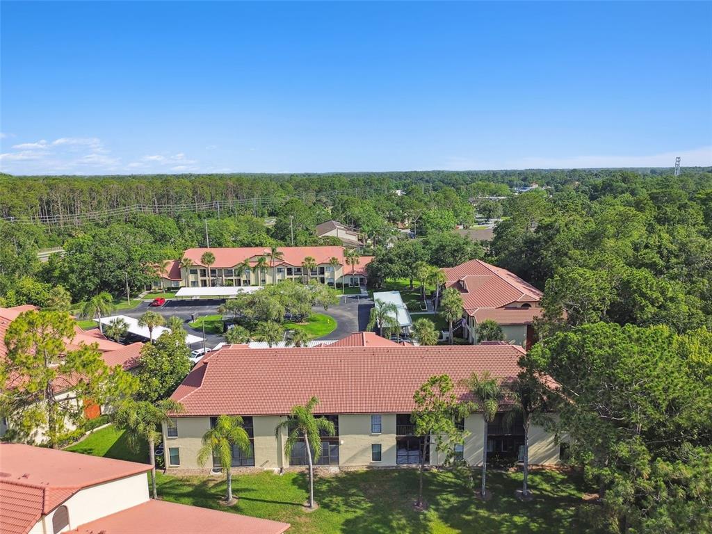 1801 East Lake Road South, Unit 3A Palm Harbor, FL 34685 - Photo 48 of 56 a view of a city from a building