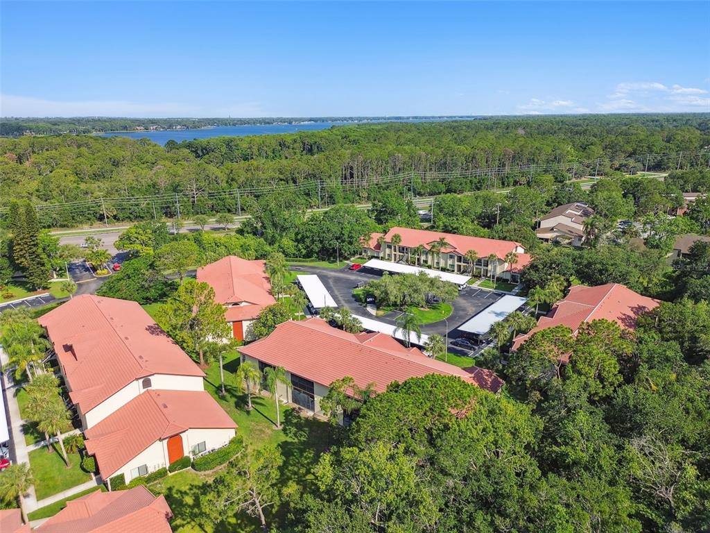 1801 East Lake Road South, Unit 3A Palm Harbor, FL 34685 - Photo 52 of 56