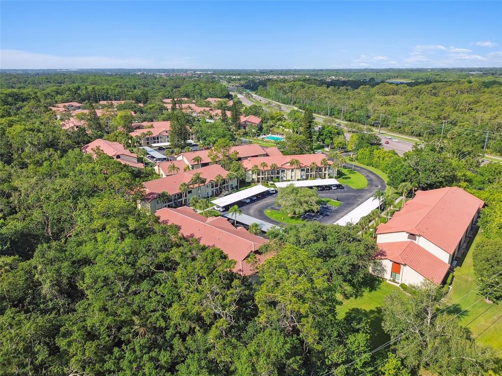 1801 East Lake Road South, Unit 3A Palm Harbor, FL 34685 - Photo 54 of 56 an aerial view of residential houses with outdoor space and trees