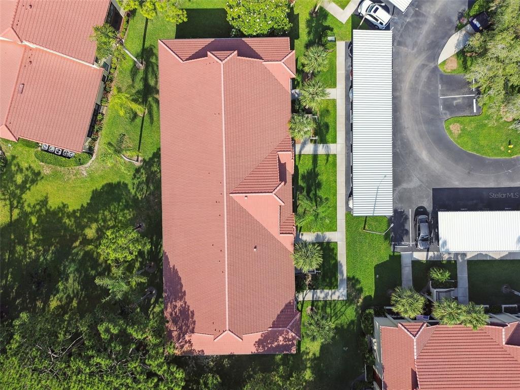 1801 East Lake Road South, Unit 3A Palm Harbor, FL 34685 - Photo 56 of 56