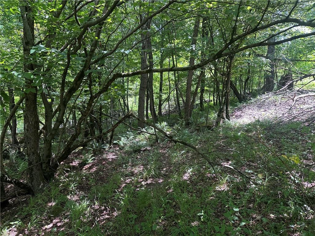 0 Cooperstown Road Cooperstown, PA 16317 - Photo 3 of 23