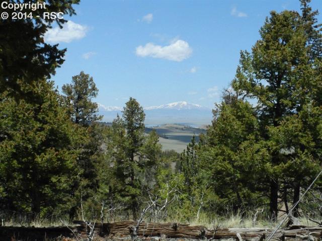 403 Adobe Road Hartsel, CO 80449 - Photo 8 of 17