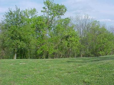 113 Central Ridge Road Mount Olivet, KY 41064 - Photo 6 of 16 Photo 6