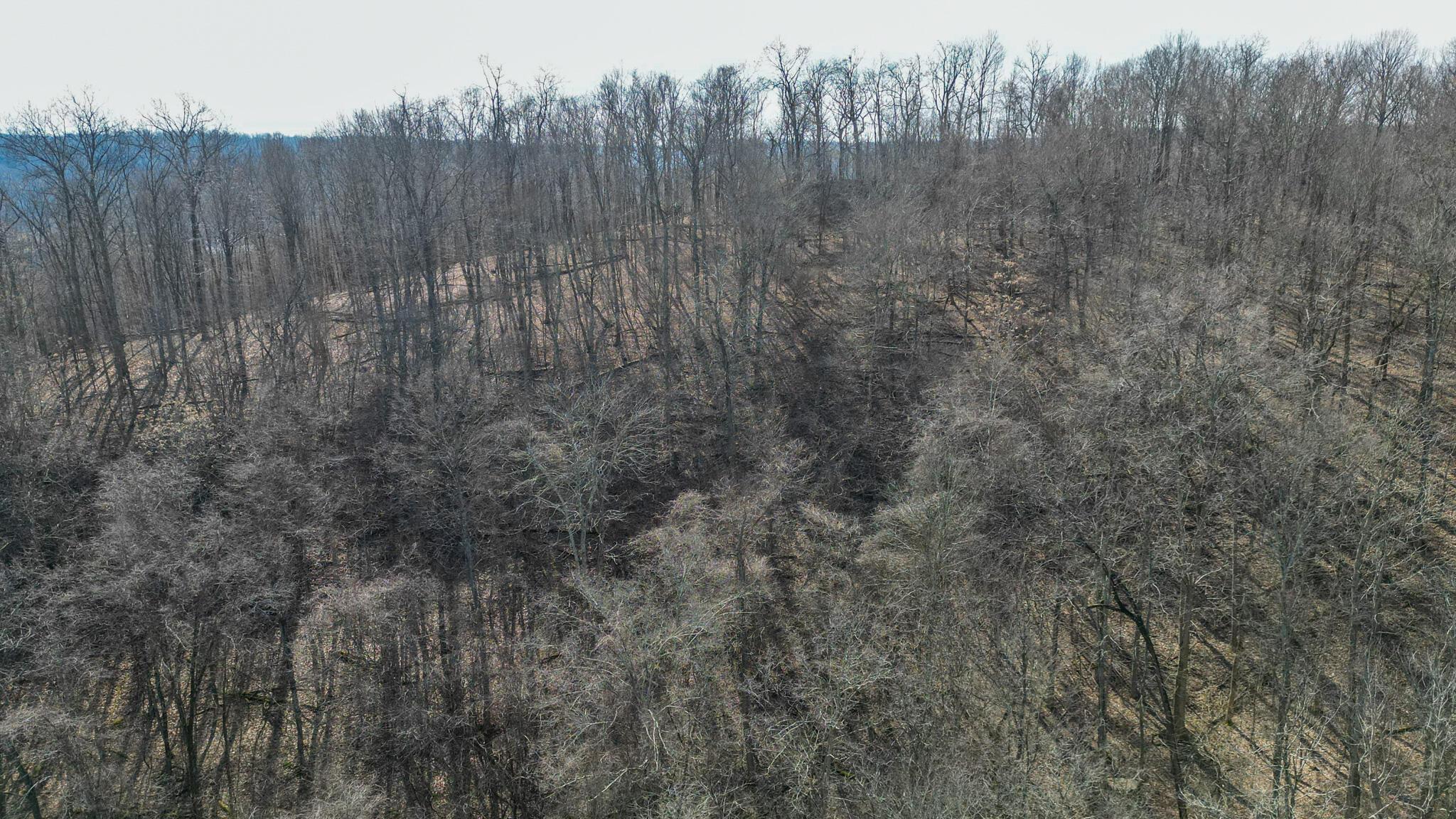 400 Virginia Ridge Road Philo, OH 43771 - Photo 13 of 15 virginia ridge -08