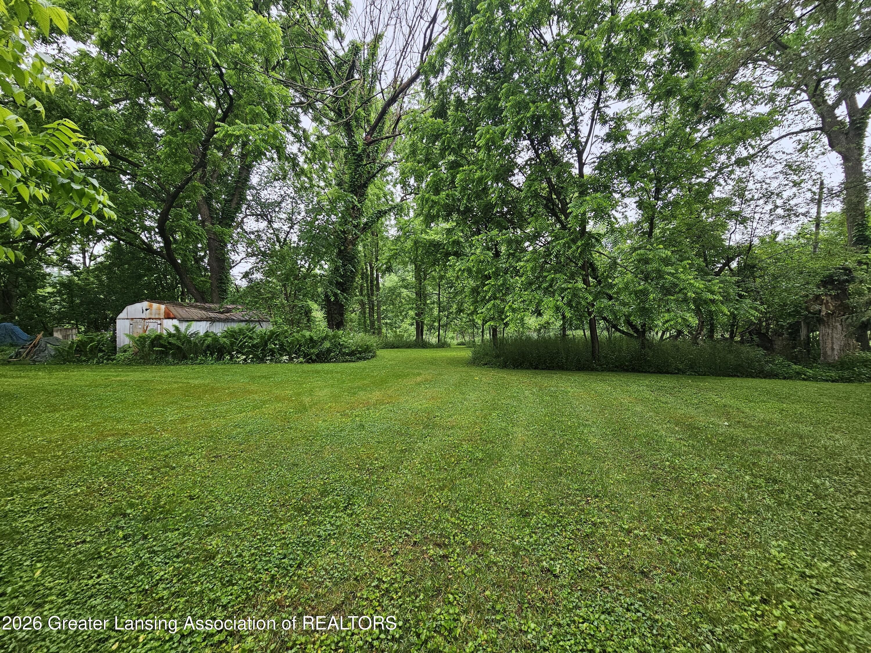 14540 South Wacousta Road Grand Ledge, MI 48837 - Photo 35 of 48 Back yard
