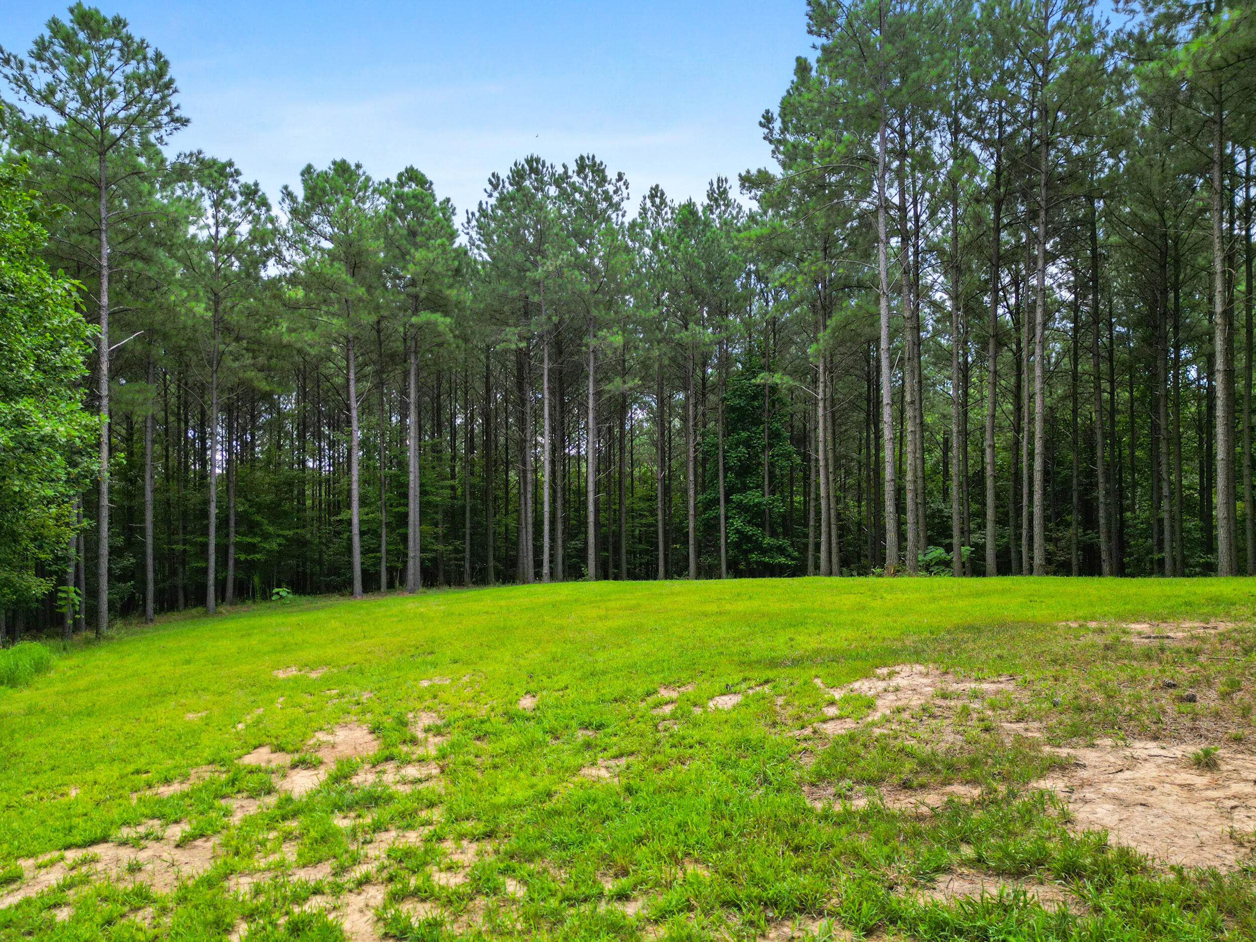0 Compass Drive, Unit 228 Jasper, TN 37347 - Photo 3 of 33 Lot #228