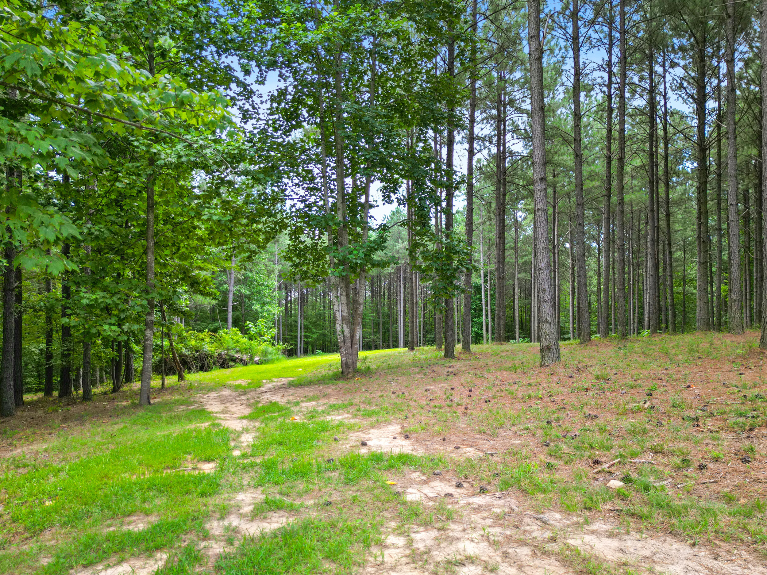 0 Compass Drive, Unit 228 Jasper, TN 37347 - Photo 5 of 14 Lot #228