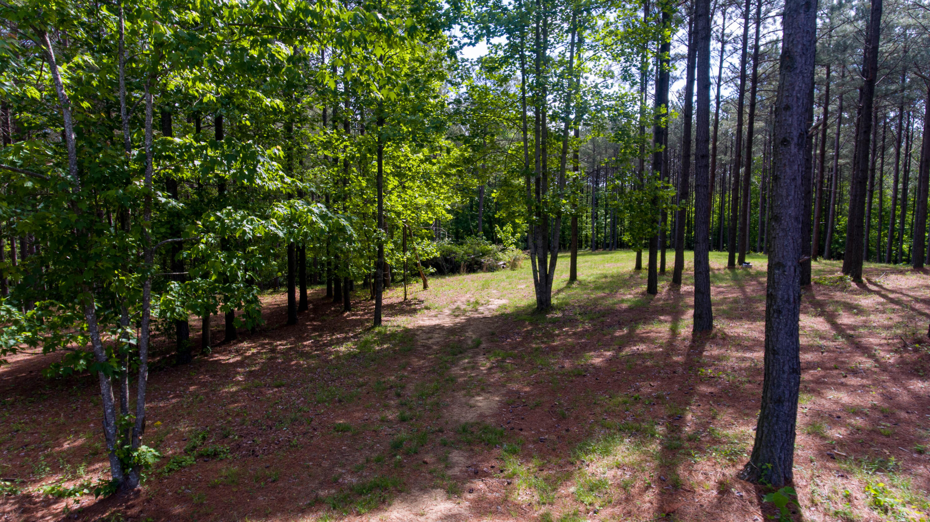 0 Compass Drive, Unit 228 Jasper, TN 37347 - Photo 5 of 33 Lot #228