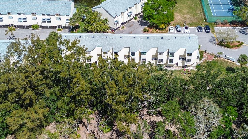 1500 Sunset Road, Unit G4 Tarpon Springs, FL 34689 - Photo 42 of 44 an aerial view of multiple house with outdoor space