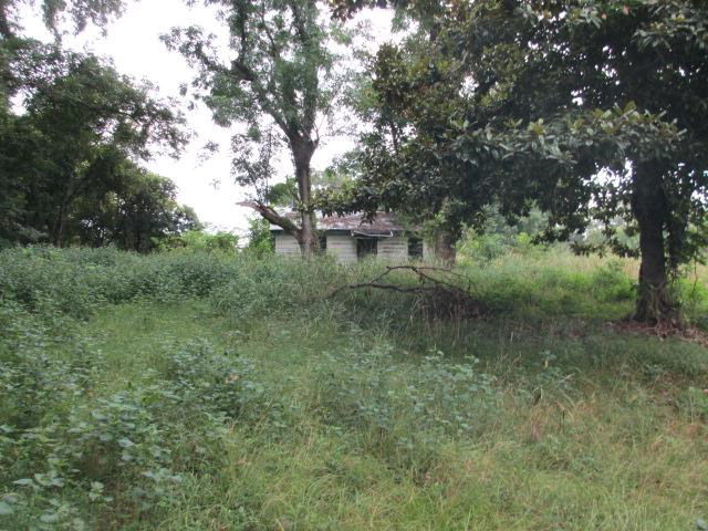 0 Quitman Road Natchez, MS 39120 - Photo 1 of 1 Main View