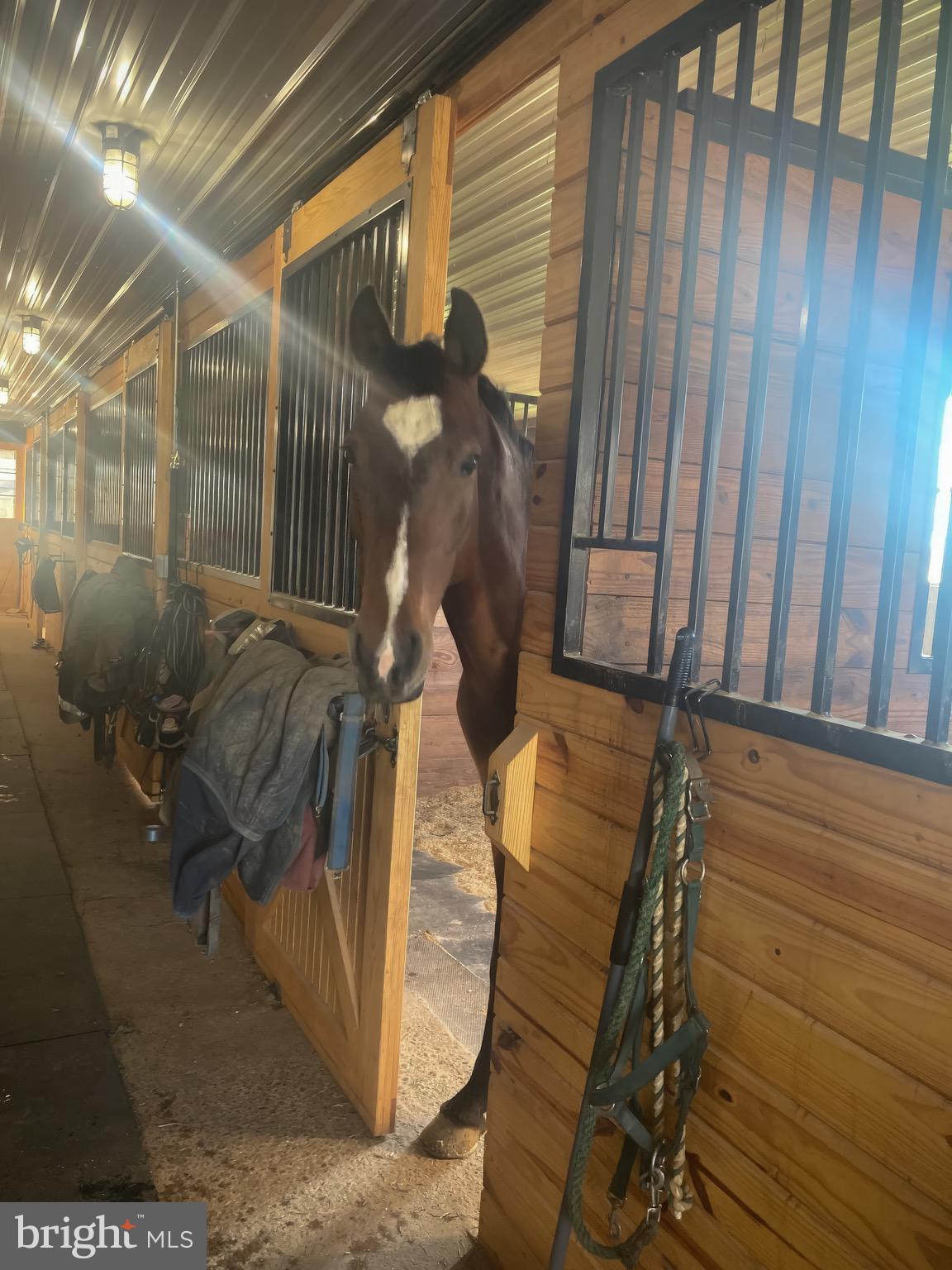 239 Spring Road Malvern, PA 19355 - Photo 16 of 29 a bathroom with a sink