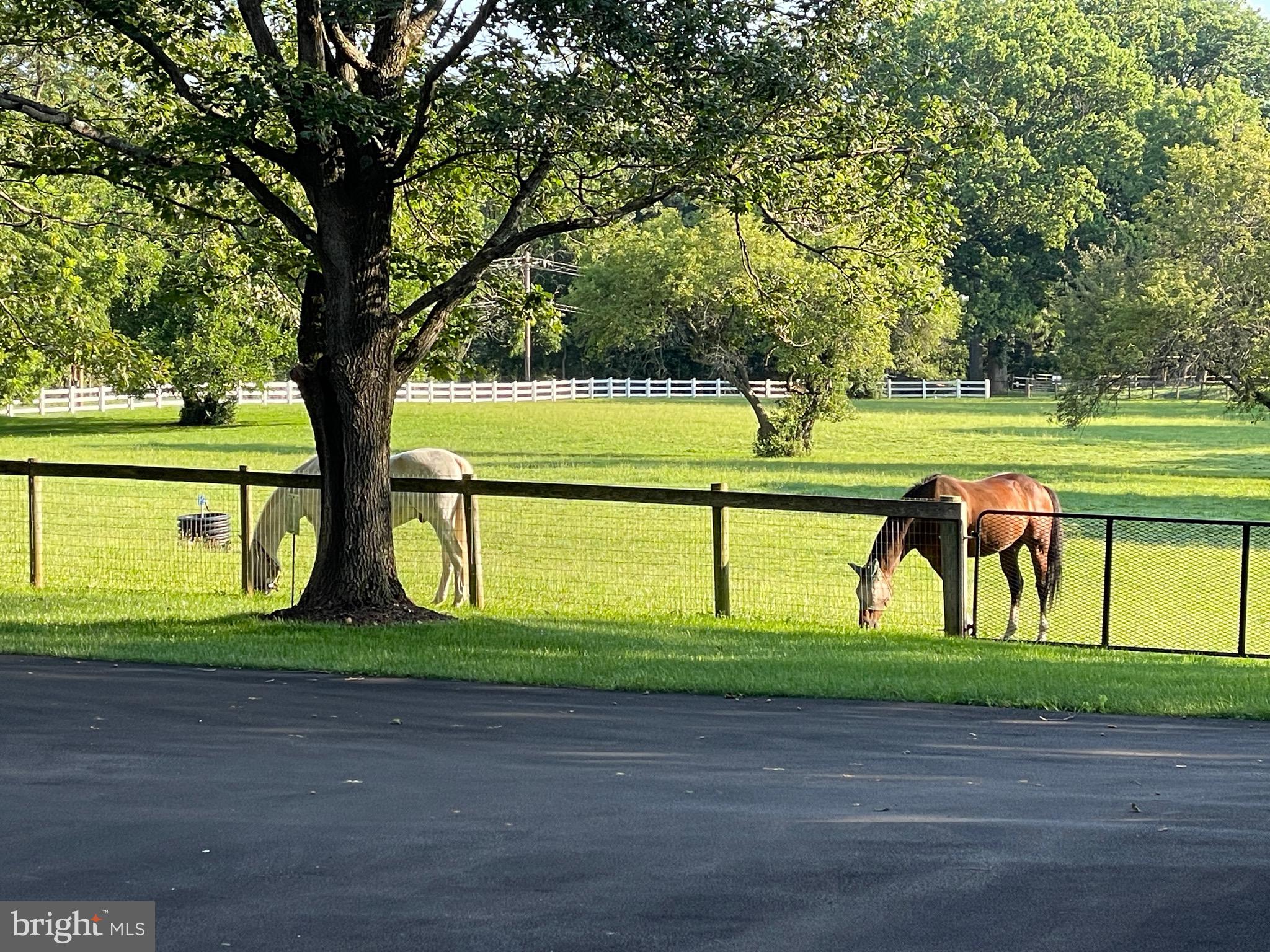 239 Spring Road Malvern, PA 19355 - Photo 24 of 29 Multiple Pastures