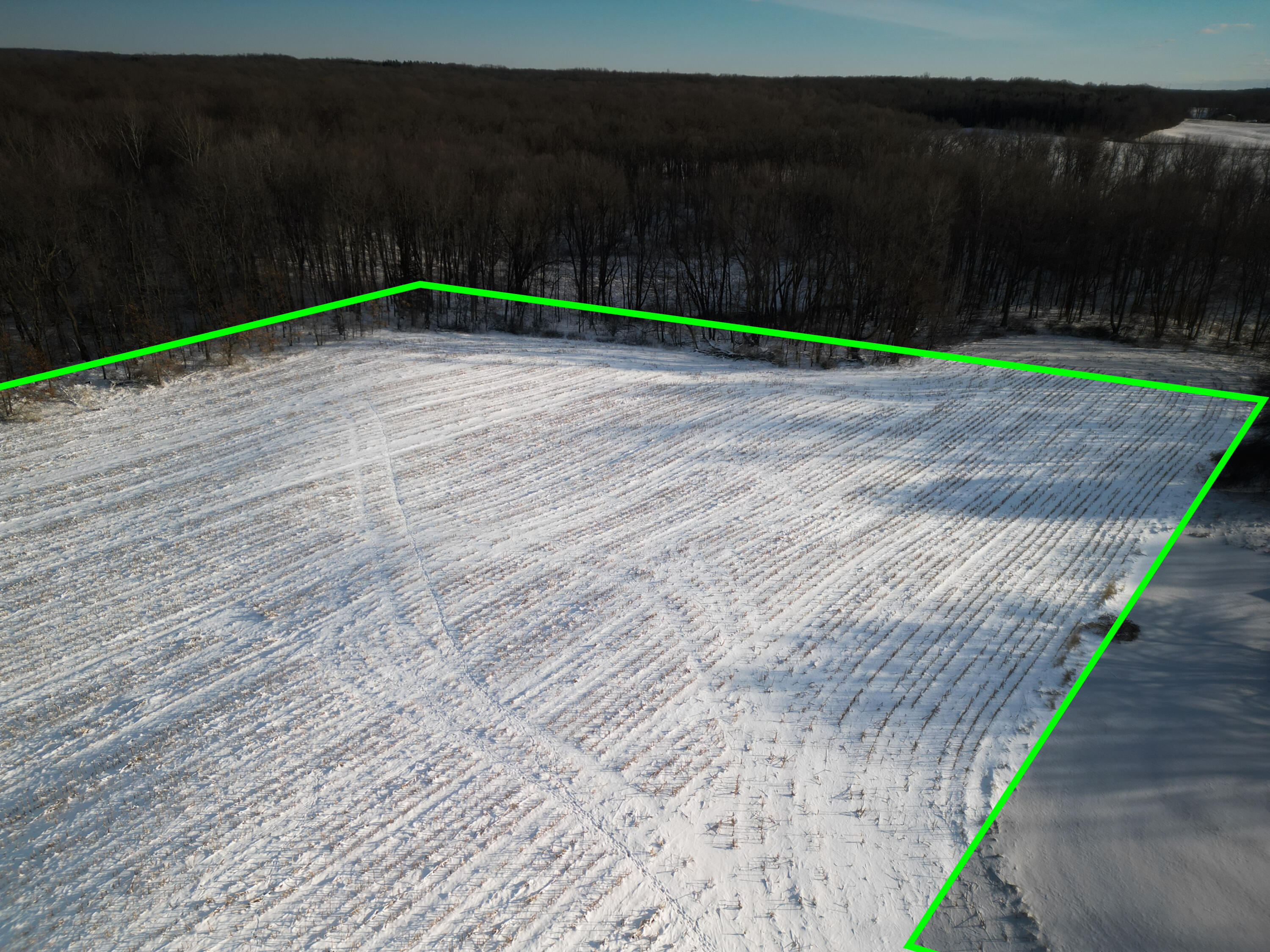 9317 Rountree Road Horton, MI 49246 - Photo 12 of 21 9100 Moscow Road 12