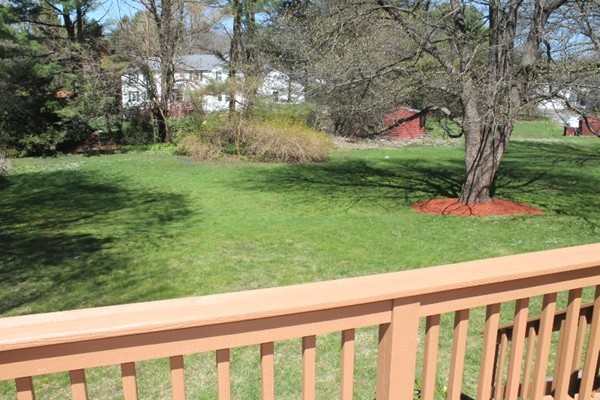 10 Longfellow Road Lexington, MA 02420 - Photo 27 of 29 a view of a yard with potted plants and large trees