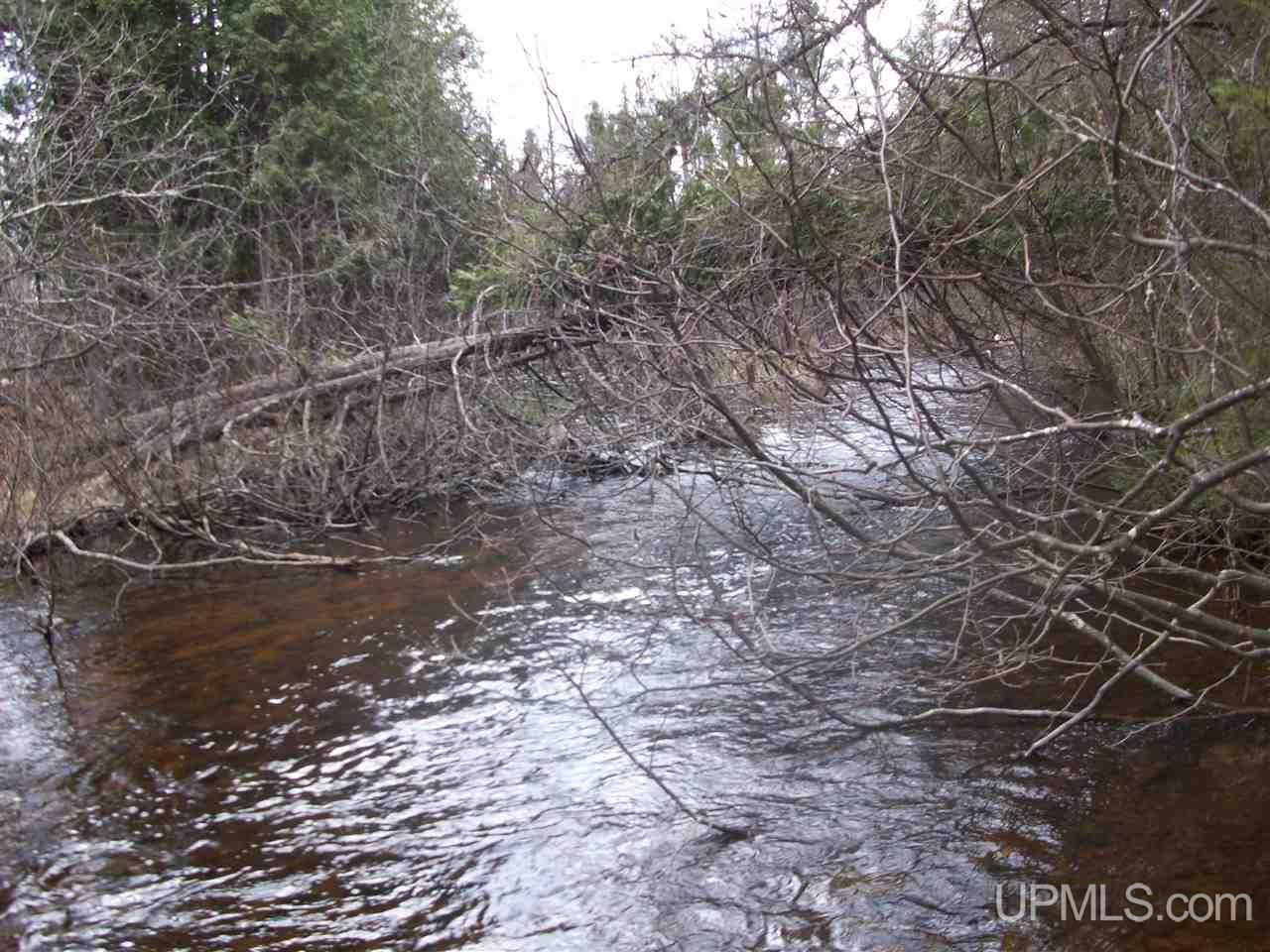 Tbd Sand Road Bark River, MI 49807 - Photo 2 of 12