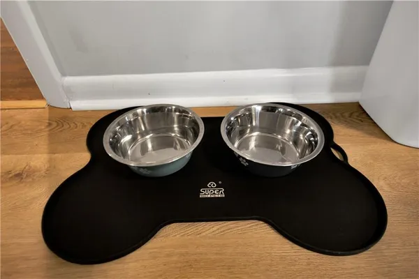 a close view of dining table and chairs