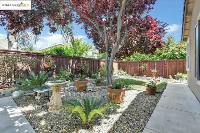 a backyard with plants and outdoor seating