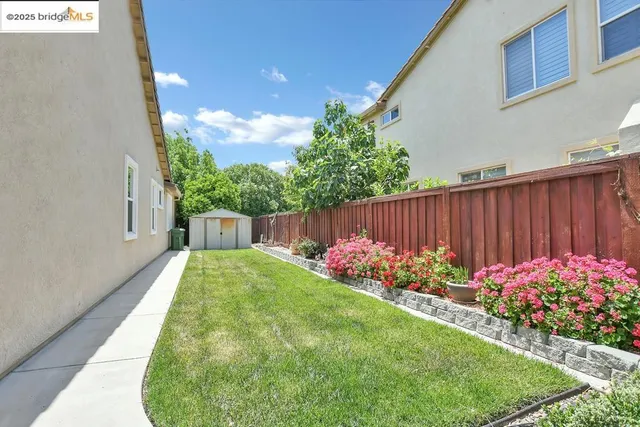 a garden view with potted plants