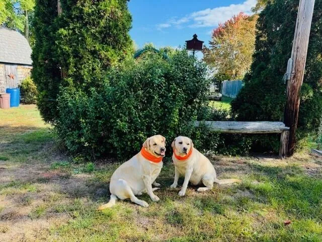 $315,000 | 1108 Pequawket Trail, Standish, ME 04085