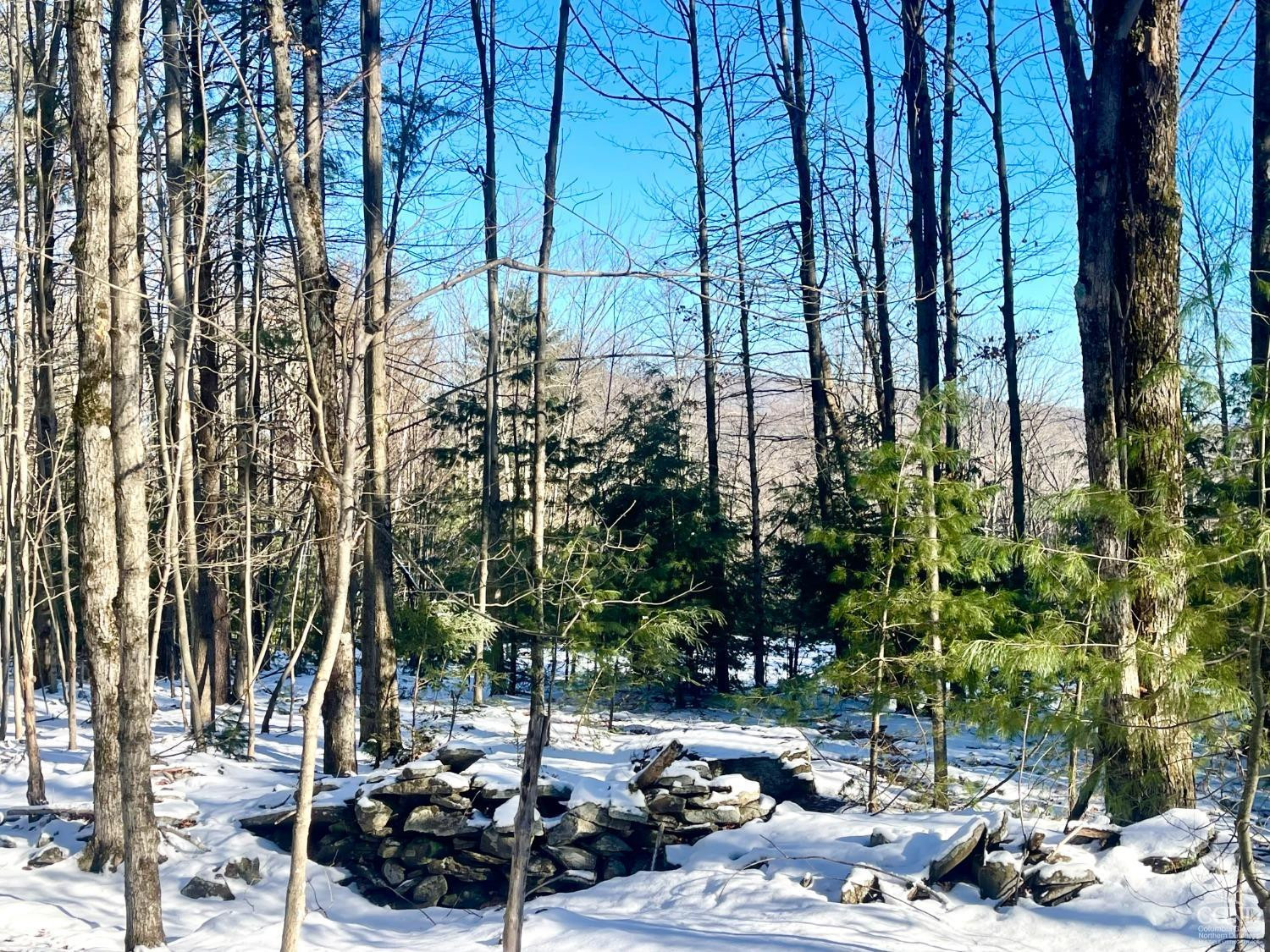 0 Tower Mountain Road Jewett, NY 12444 - Photo 2 of 12 a view of a chairs and fire pit in the backyard