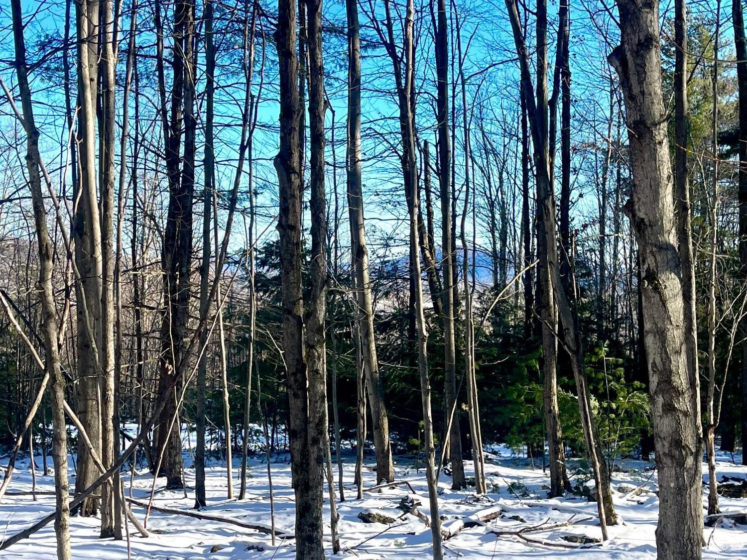 0 Tower Mountain Road Jewett, NY 12444 - Photo 3 of 12 not sure