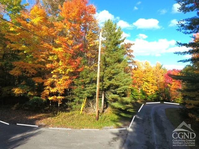 0 Tower Mountain Road Jewett, NY 12444 - Photo 10 of 12 a view of yard