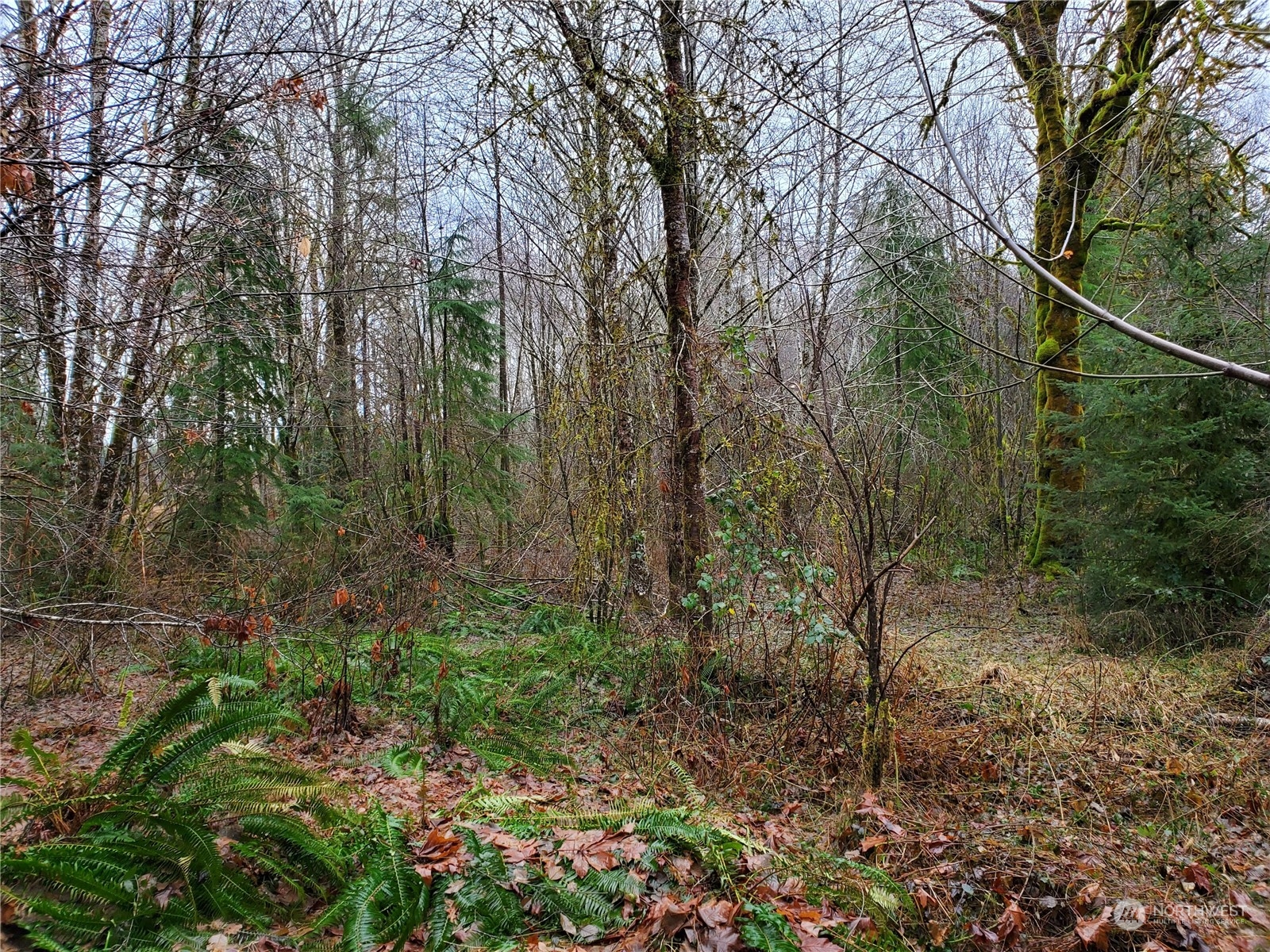 241 West Hatfield Road Elma, WA 98541 - Photo 13 of 33 Gallery Image 13
