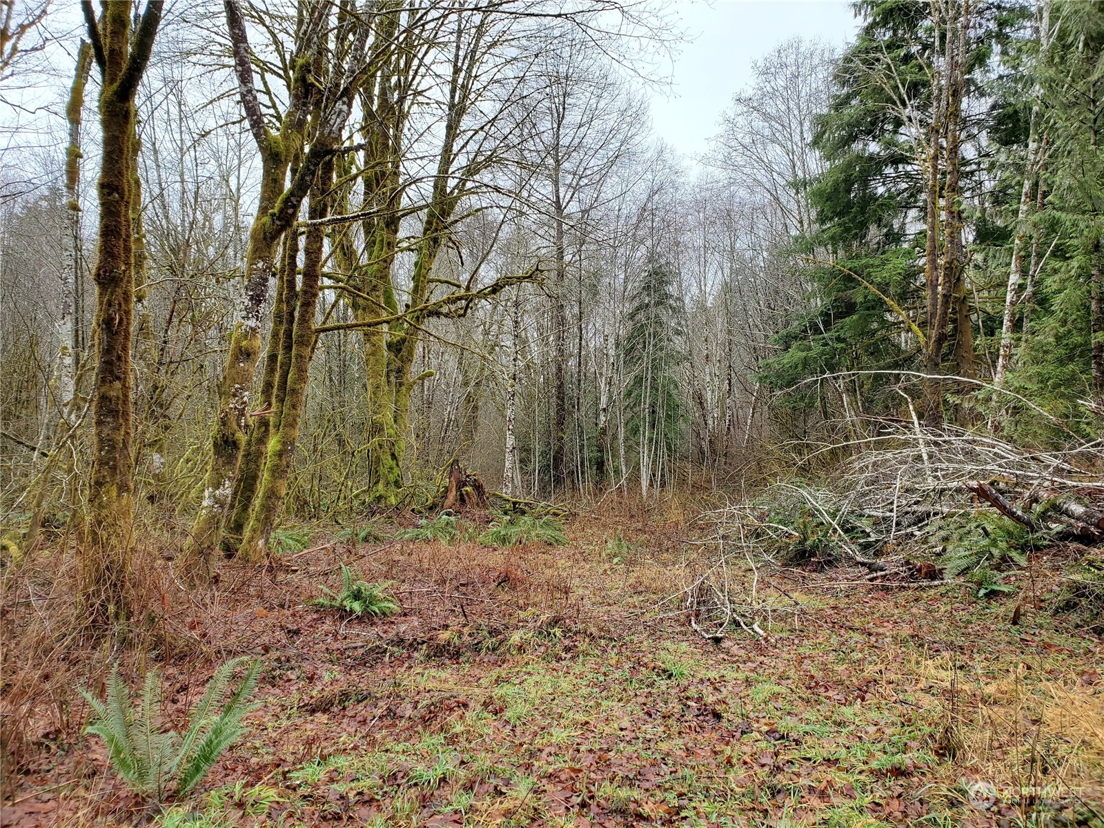241 West Hatfield Road Elma, WA 98541 - Photo 28 of 33 Gallery Image 28
