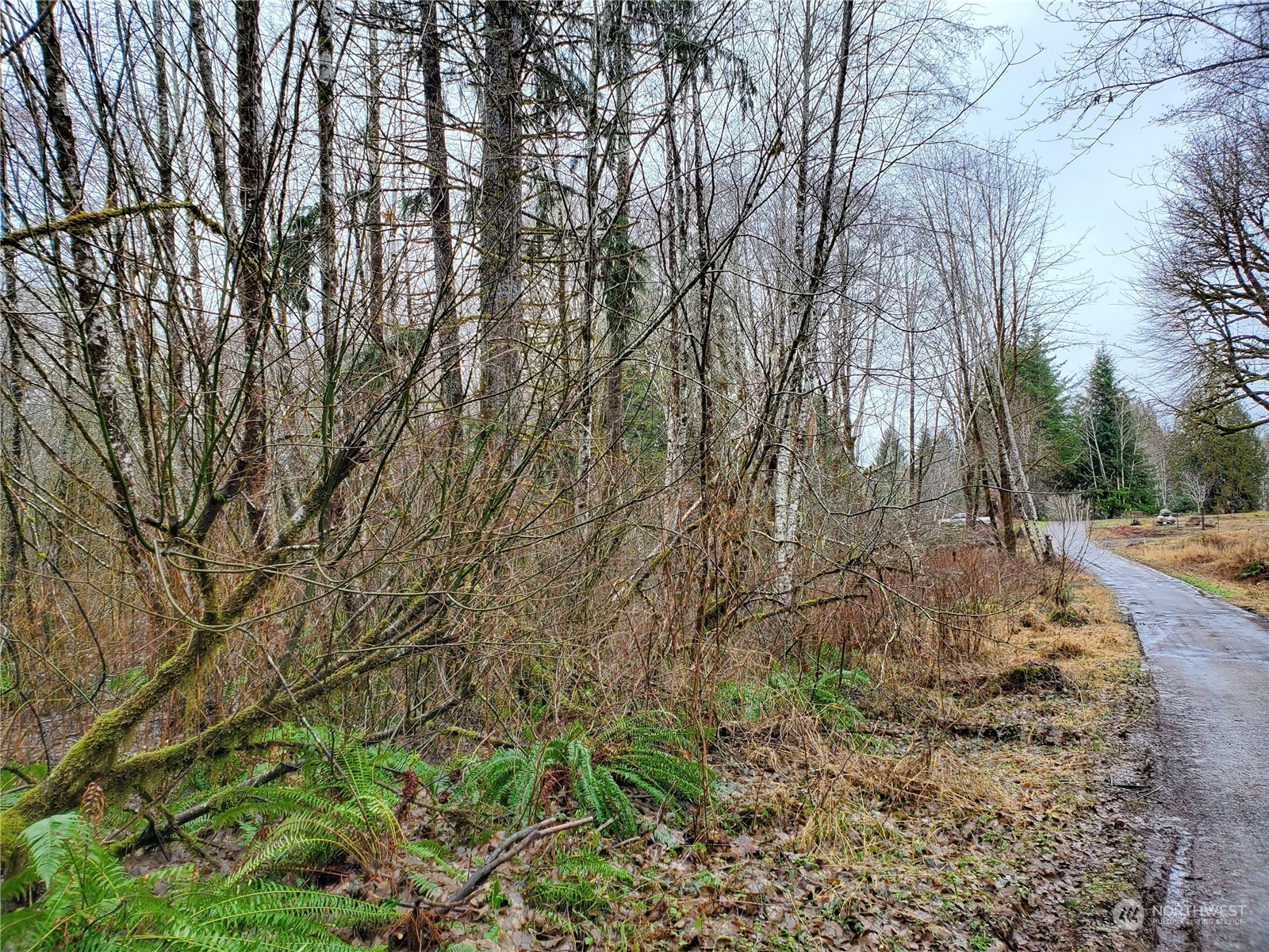 241 West Hatfield Road Elma, WA 98541 - Photo 29 of 33 Gallery Image 29
