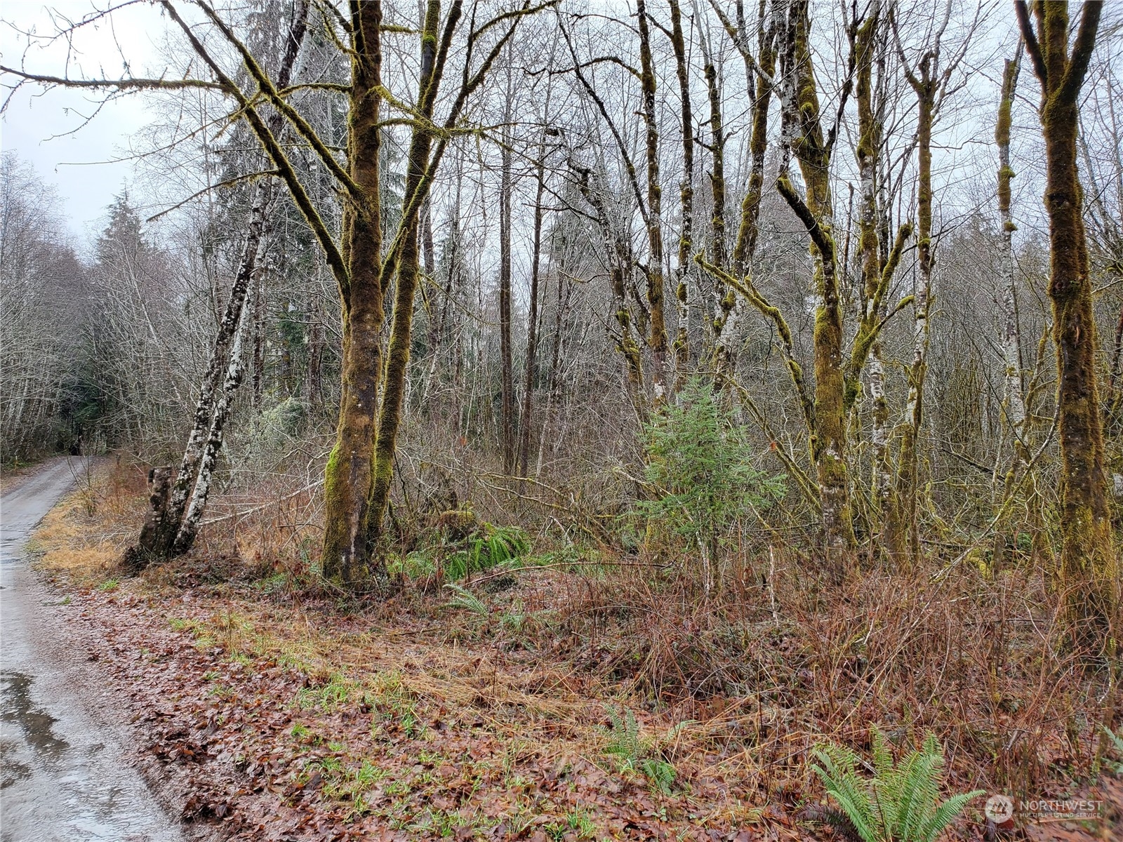 241 West Hatfield Road Elma, WA 98541 - Photo 30 of 33 Gallery Image 30