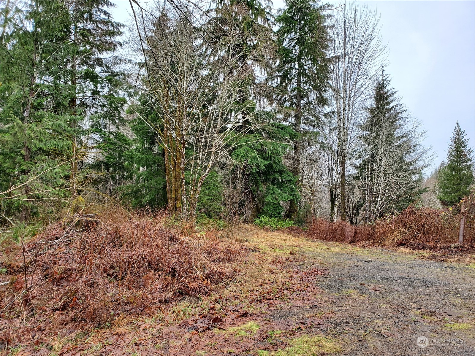 241 West Hatfield Road Elma, WA 98541 - Photo 31 of 33 Gallery Image 31