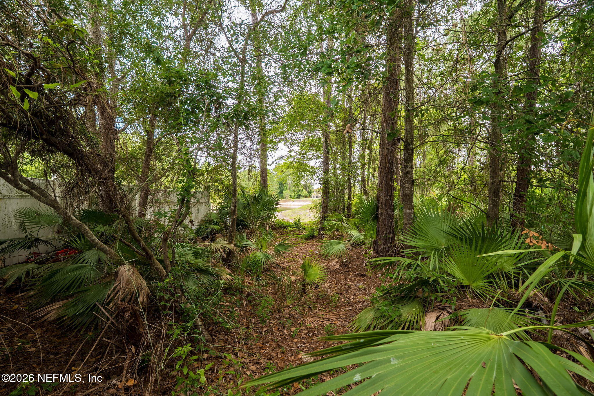 2393 Rusty Lakes Lane Jacksonville, FL 32221 - Photo 29 of 44 ISO_2393 Rusty Lake Ln_JAX_040