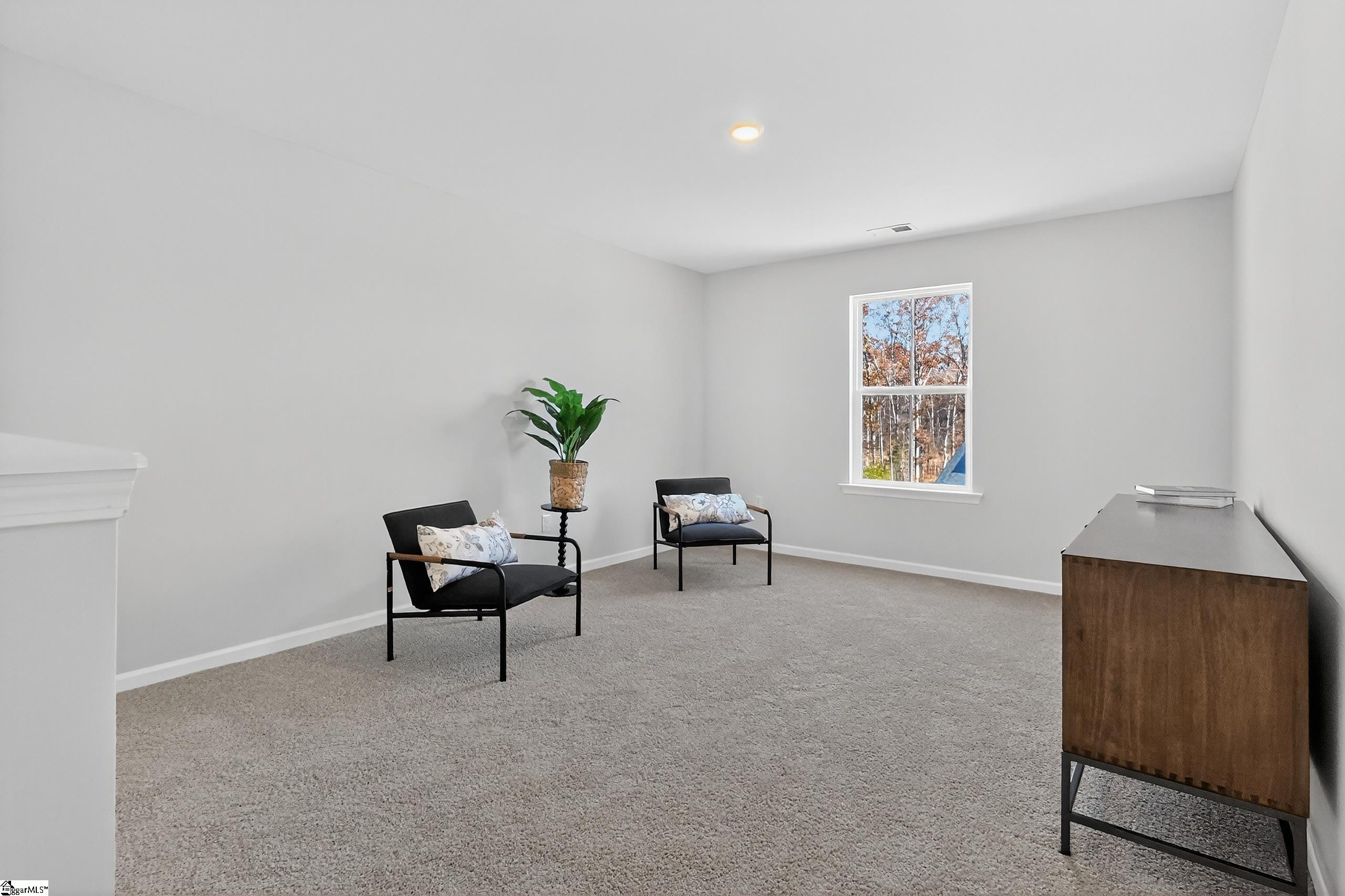 12 Torwood Street Fountain Inn, SC 29644 - Photo 9 of 34