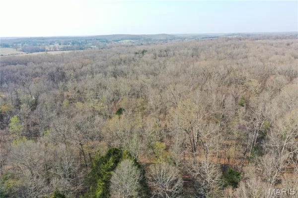 $199,000 | 155 Lawrence Road 273, Smithville, AR 72466