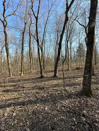 $199,000 | 155 Lawrence Road 273, Smithville, AR 72466
