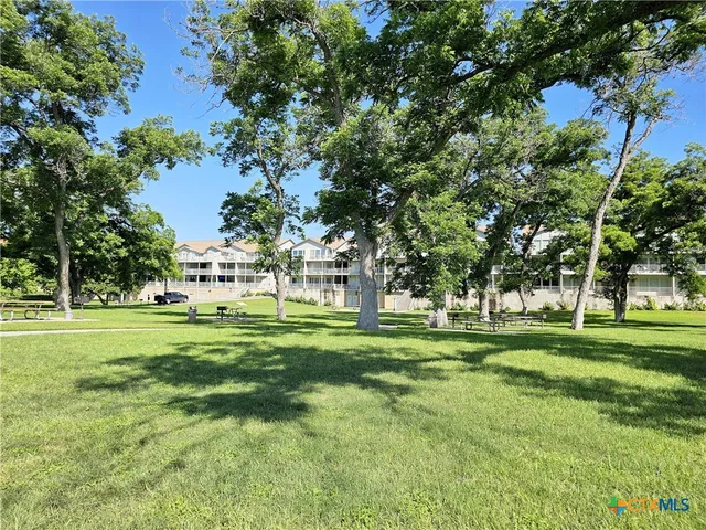 a big yard with lots of trees