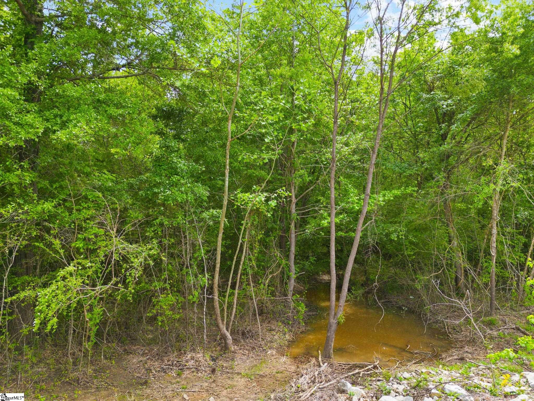 0 Ekom Beach Road Laurens, SC 29360 - Photo 11 of 31