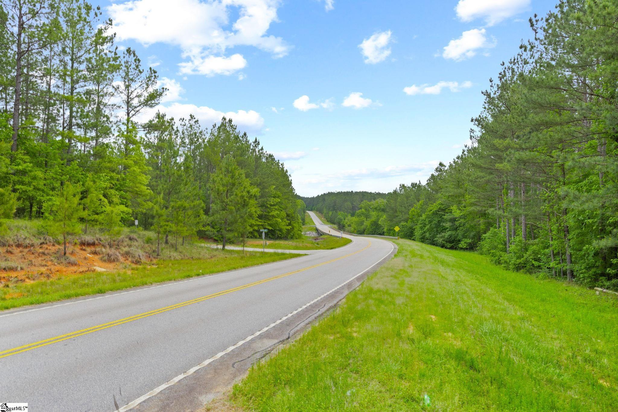 0 Ekom Beach Road Laurens, SC 29360 - Photo 13 of 31