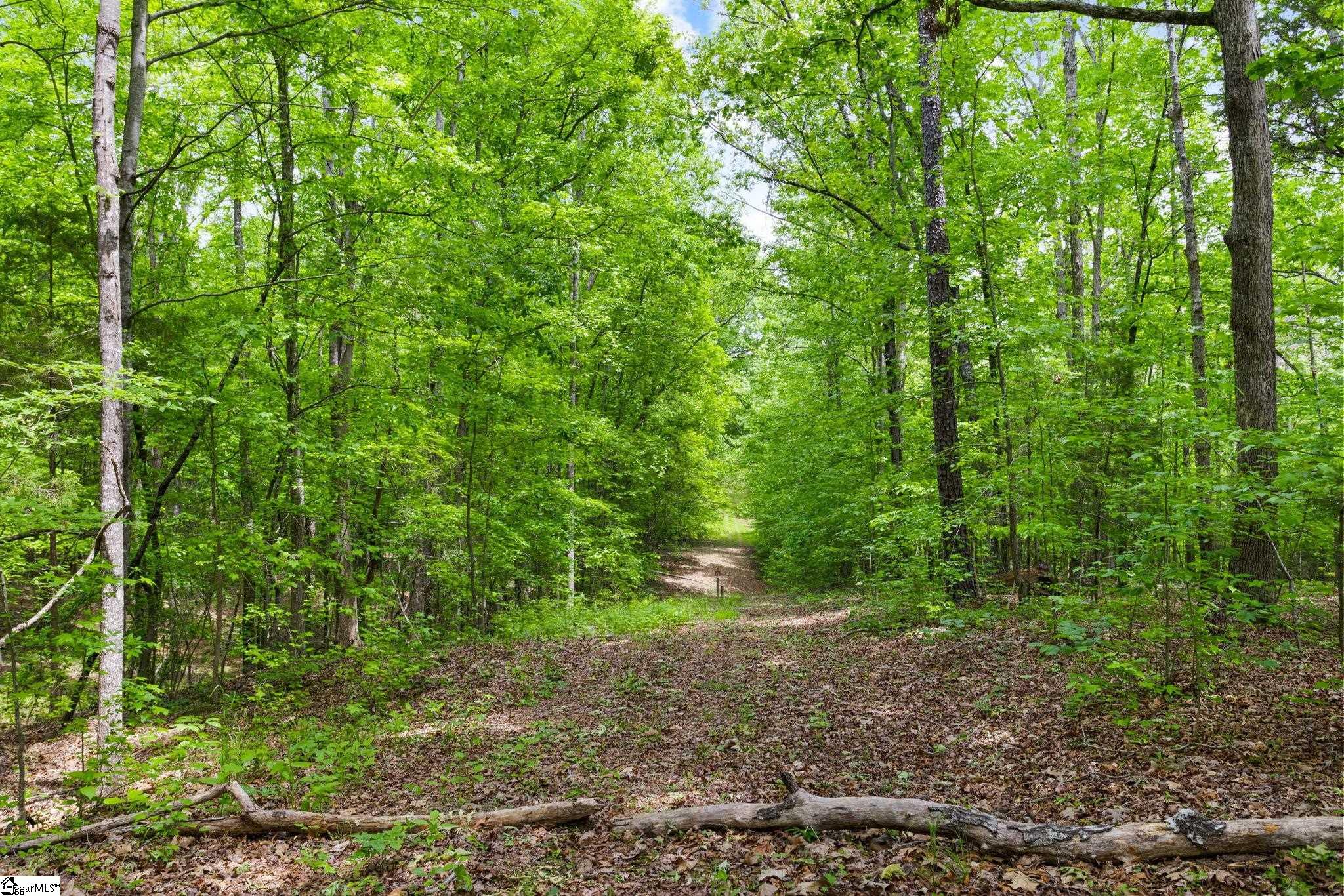 0 Ekom Beach Road Laurens, SC 29360 - Photo 15 of 31