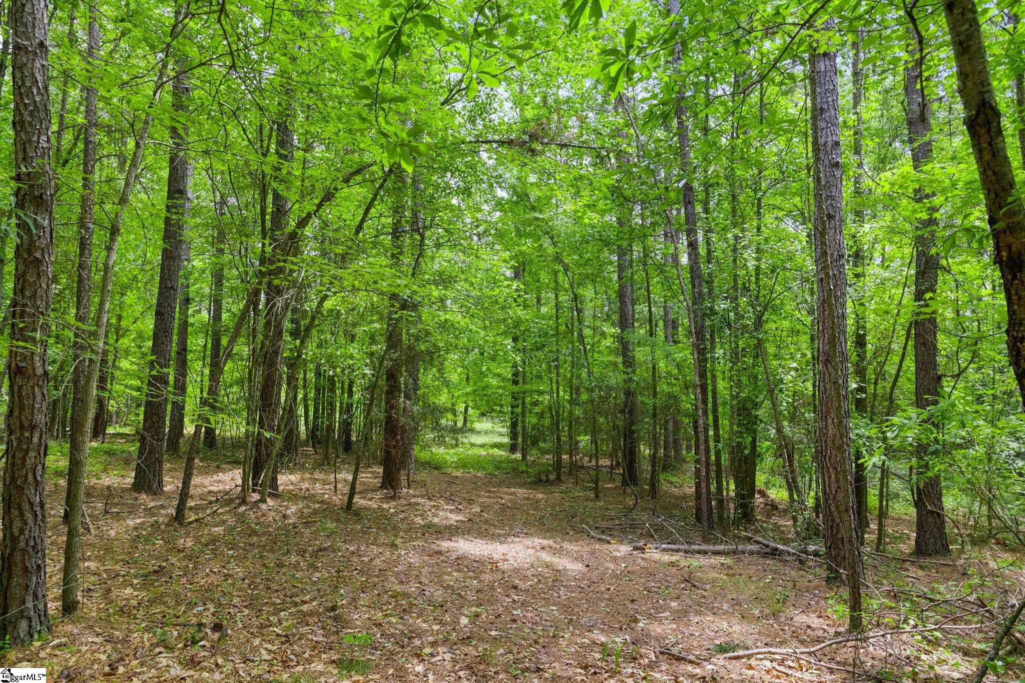 0 Ekom Beach Road Laurens, SC 29360 - Photo 16 of 31