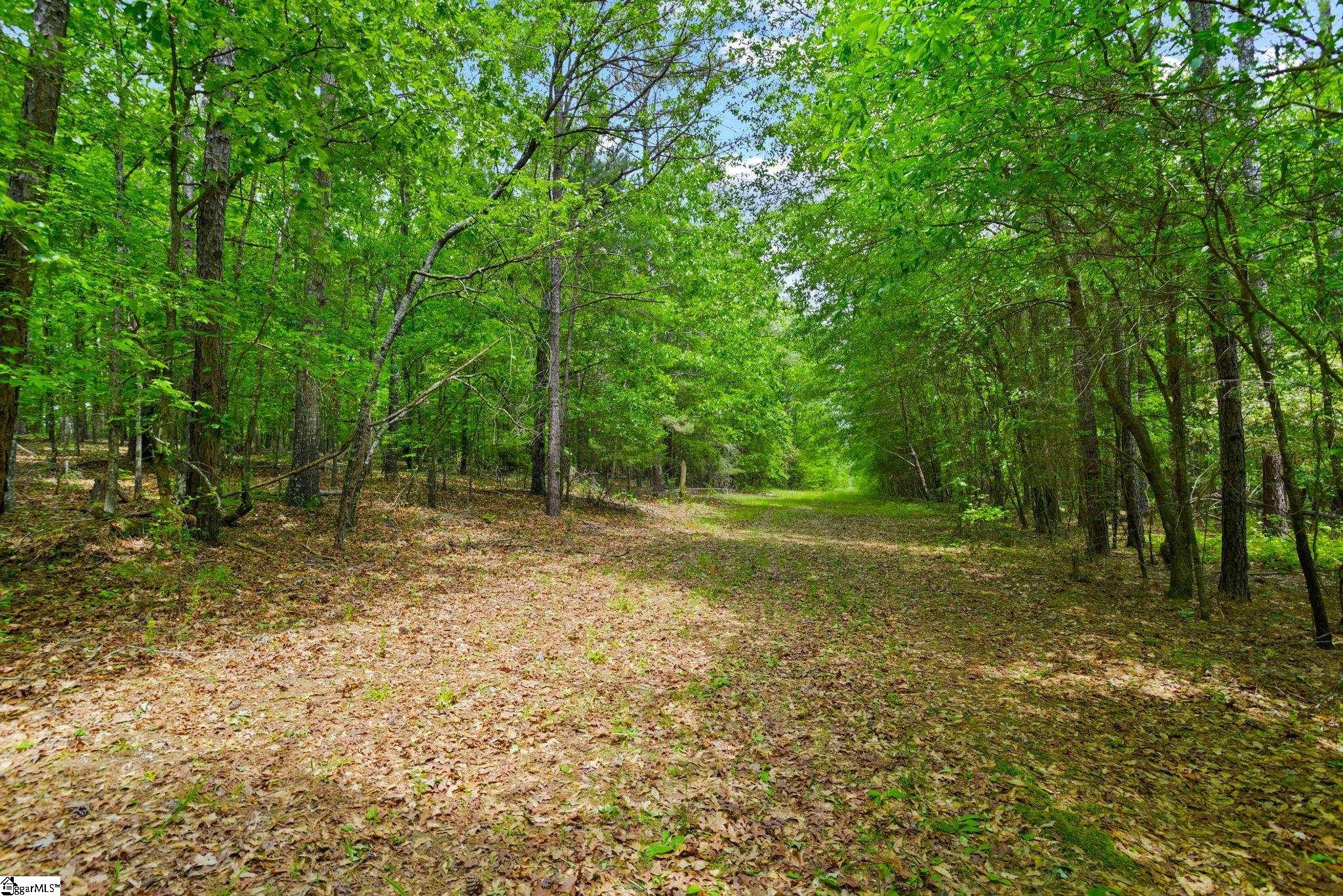 0 Ekom Beach Road Laurens, SC 29360 - Photo 17 of 31