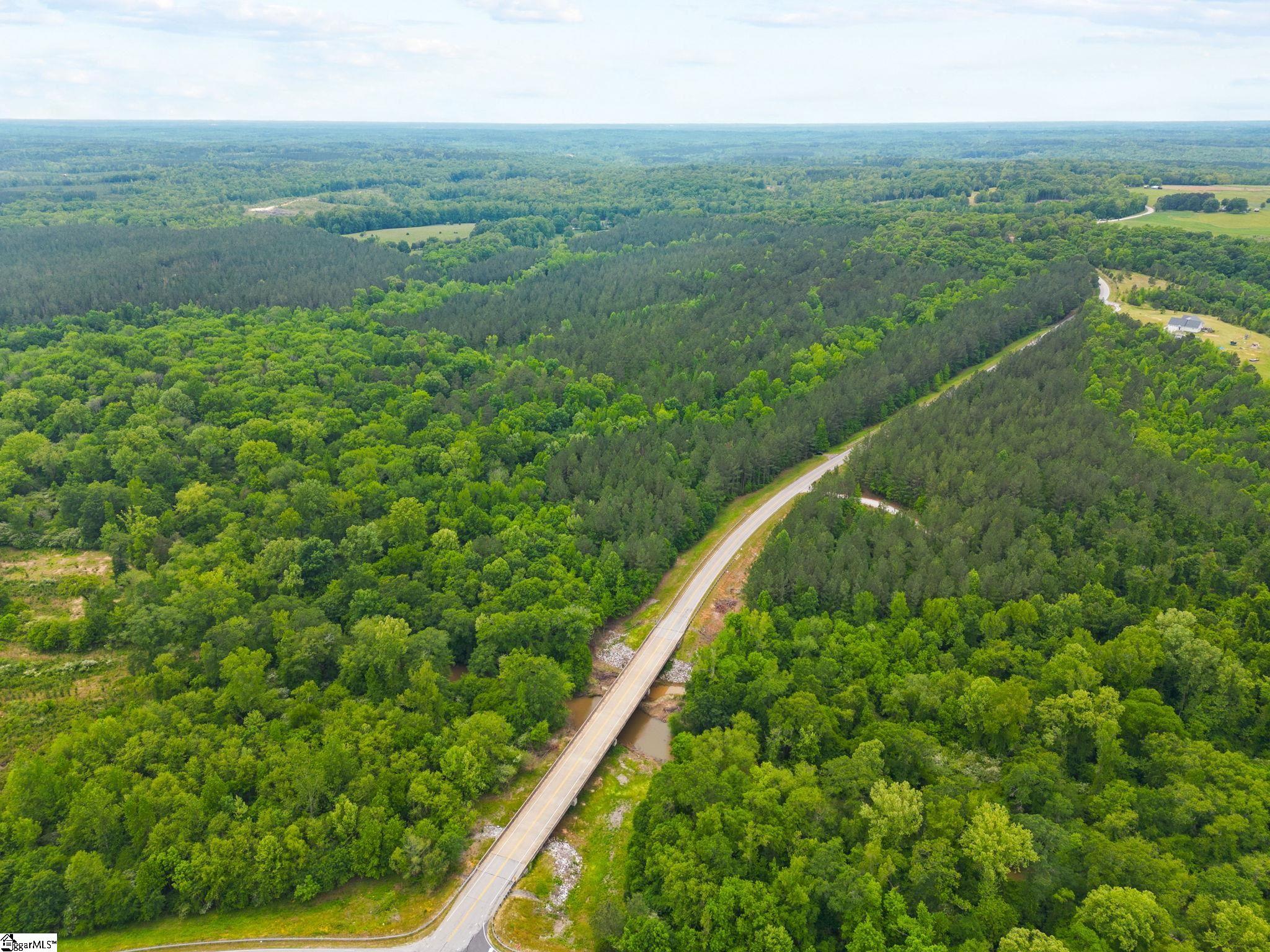 0 Ekom Beach Road Laurens, SC 29360 - Photo 2 of 31